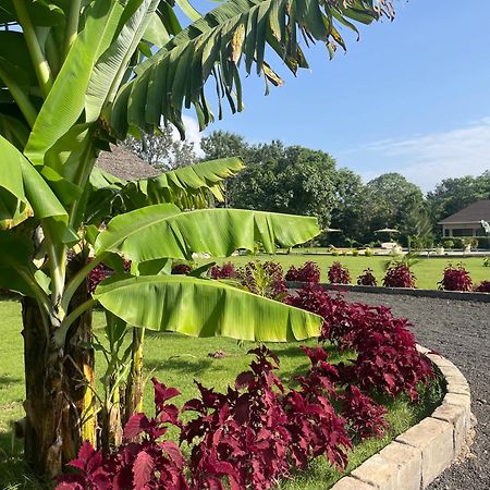 Tanzania Safari Lodge Аруша Екстер'єр фото